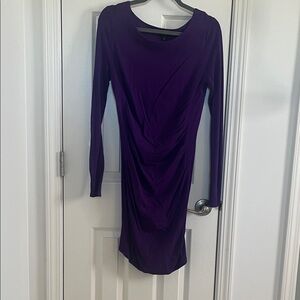 Express Deep Purple Long Sleeve Dress